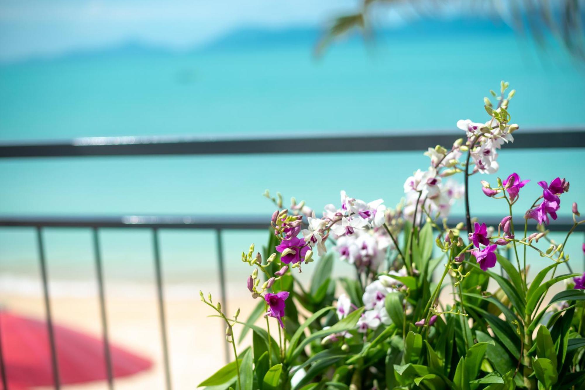 The Florist Resort Mae Nam Exterior photo